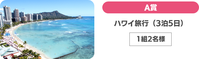 A賞 ハワイ旅行（3泊5日）1組2名様