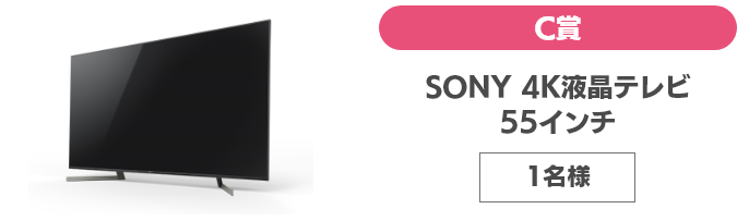 C賞 SONY 4K液晶テレビ55インチ 1名様